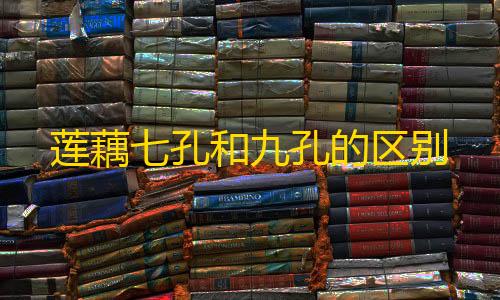 购买莲藕七孔和九孔的区别